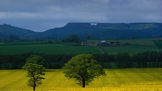 Our Favourite Yorkshire Climbs - Cycling Blog - Ride 25