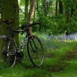 cycling-photos-bike-in-bluebells