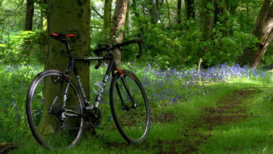 cycling-photos-bike-in-bluebells