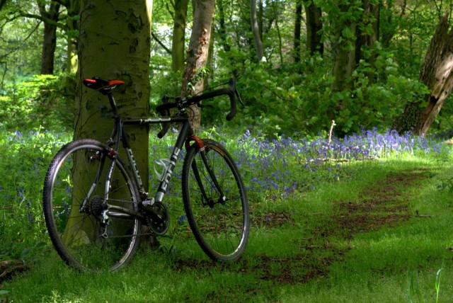 cycling-photos-bike-in-bluebells