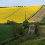 cycling-photos-fields yorkshire